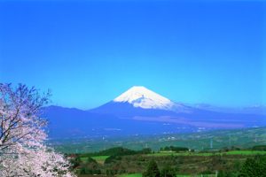 別荘地定住